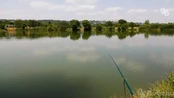 Комплекс по выращиванию рыбы на Ставрополье строят в три этапа