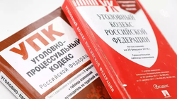 Мужчину подозревают в краже бензопилы и двух барсеток в Кировском округе 