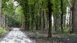 В Кировском округе благодаря госпрограмме обустроили аллею