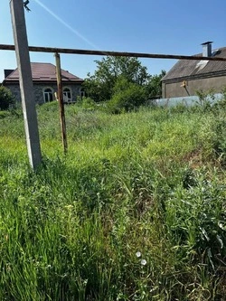 Собственника одного из участков в Новопавловске обязали убрать территорию