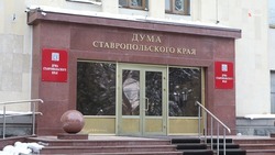 Депутаты думы Ставрополья приняли поправки в закон о поддержке детей-сирот