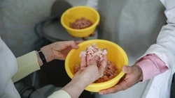На Ставрополье учёный из СКФУ представила инновации в мясной промышленности 