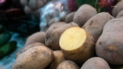 Аграрии Ставрополья убрали почти 74 тысячи тонн картофеля