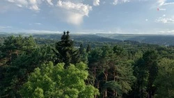 Квадроцикл для патрулирования территории передали Ессентукскому лесхозу
