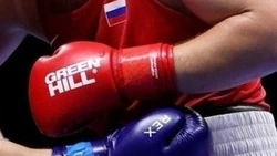 Почти 90 наград получили с начала года юные боксёры из Кировского округа