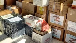 Жители Кировского округа собирают посылки бойцам СВО в День народного единства