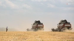 Новые меры поддержки аграриев запустят на Ставрополье в 2025 году