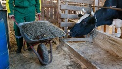 Ставропольским фермерам окажут поддержку в 2025 году