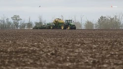 Аграрии Ставрополья посеяли более 750 тыс. га яровых культур 