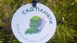 В Кировском округе высаживают «сады памяти»