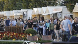 Более 7 млн туристов посетили Ставрополье с начала года