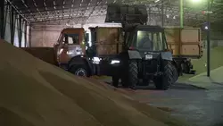 Аграрии Ставрополья намолотили свыше 92,7 тыс. тонн рапса