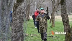 На Ставрополье начался сезон благоустройства и озеленения территорий