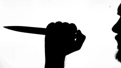 Мужчина, угрожавший ножом сожительнице, пойдёт под суд в Кировском округе
