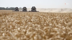Аграрии Ставрополья выполнили уборку зерновых на площади более 1,6 тыс. га 