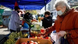 Самозанятым разрешили выставлять свою продукцию на ярмарках выходного дня и фестивалях в Ставрополе