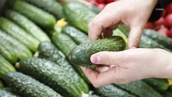 30,4 тыс. тонн продукции реализовали на ярмарках Ставрополья в 2025 году  