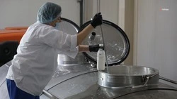 На Ставрополье произвели 1,5 тыс. тонн мороженого 