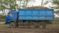 Аграрии Ставрополья собрали 778,2 тыс. тонн сахарной свёклы